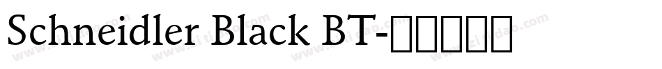 Schneidler Black BT字体转换